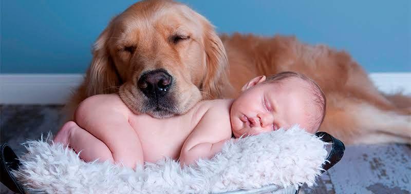 Mascotas,  bebés y amor. ❤️